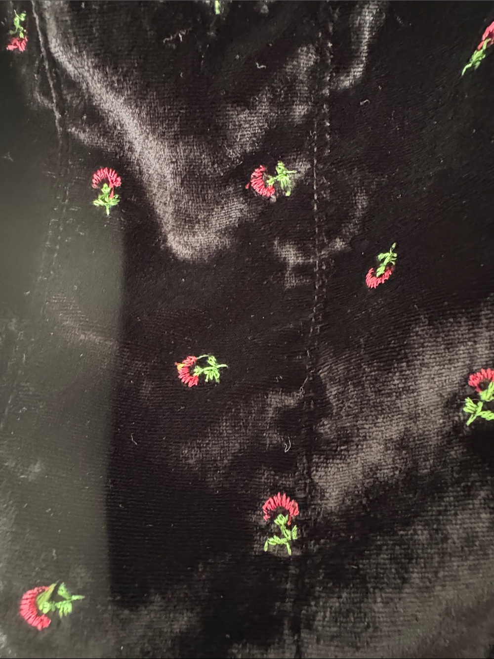 Free People Black Velvet Tank with Red & Green Floral Embroidery XS - Picture 4 of 8